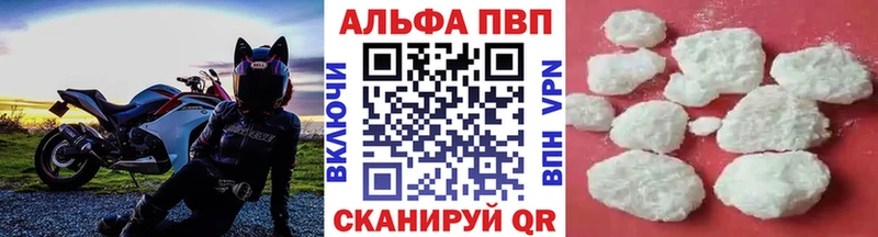 где купить   Карасук  A PVP СК КРИС 