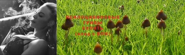 круглые Волосово
