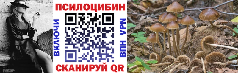 Галлюциногенные грибы MAGIC MUSHROOMS  ОМГ ОМГ онион  Карасук 